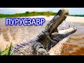 Пурусзавр. Гигантский кайман миоцена. Вымершее животное. Видео про животных