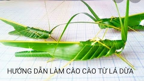 Hướng dẫn cách làm con cào cào bằng lá dừa đơn giản.