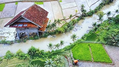 DIJAMIN BETAH😍 MENIKMATI HIDUP DI KAMPUNG YANG INDAH ALAM DESANYA, SUASANANYA ADEM, AYEM & TENTRAM