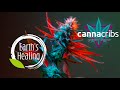 Earths healing arizonas finest cannabis cultivation