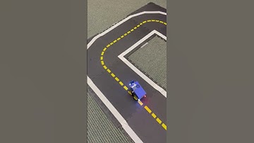 video of our Duckiebot running the lane following demo