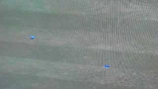 Tiger Woods 2009 Glitch - Put goes in, but wait!!  it don't!