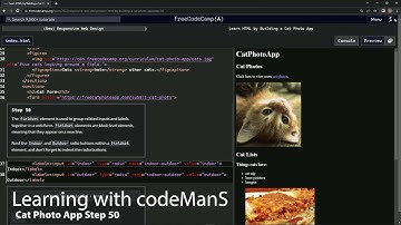 Learn HTML by Building a Cat Photo App - Step 50