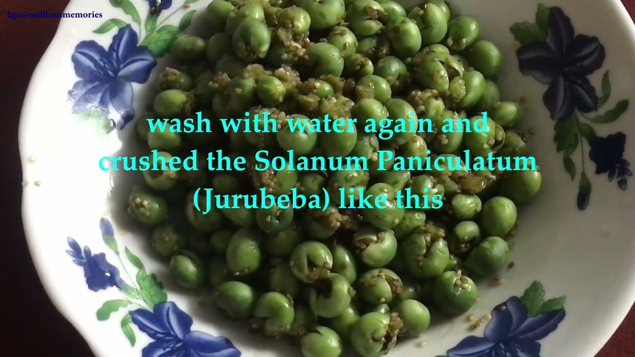Solanum Paniculatum (Jurubeba)And Papaya Flower Buds Curry Recipe 