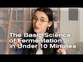 Understanding Fermentation