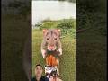 enak makan mie stiek#shorts #shortsfeed #shortvideo