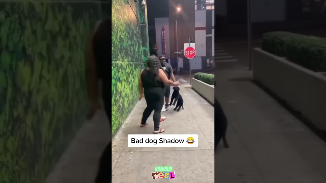 Ladies Vs Dudes | Dude's Payback Time!