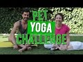Pet Yoga Challenge | Reto Yoga Con Animales