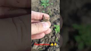 ещё один крестик #металлоискатель #поискмонетикладов #поискклада #коп #metaldetecto