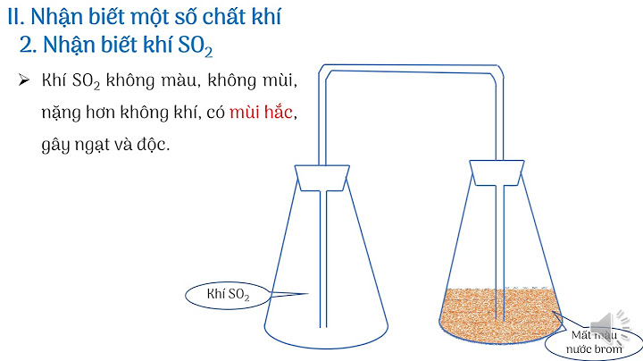 Các khí không màu hóa nâu trong không khí