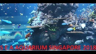 Sea Aquarium Singapore- World&#39;s Largest Aquarium