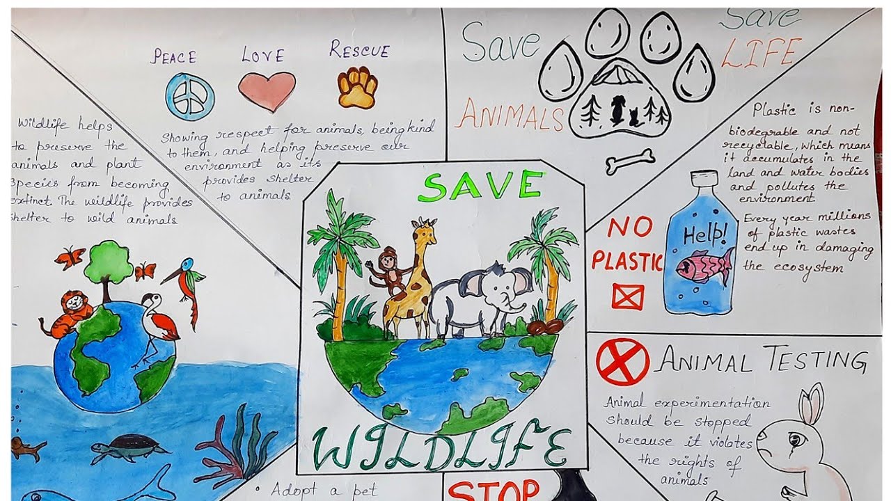 Wall Magazine on SAVE WILDLIFE For school and colleges Wall