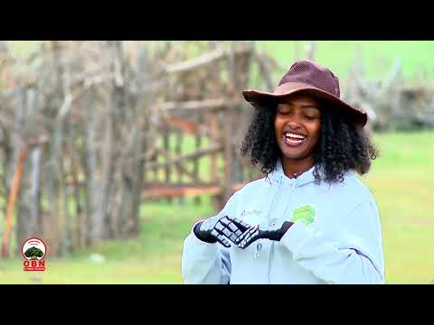 Kuula Sanbataa Faaya Uumamaa