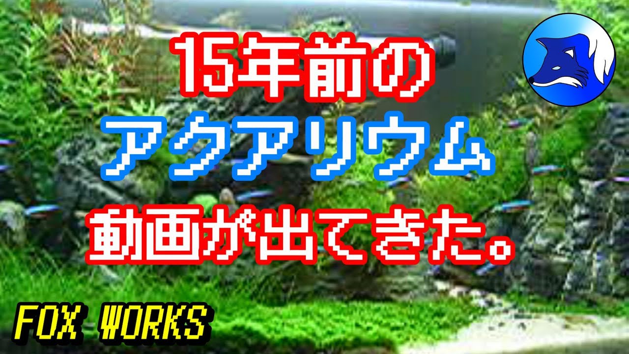 No 107 15年前のアクアリウム動画が出てきた Youtube No 107 15年前のアクアリウム動画が出てきた Youtube