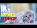 How to Prepare Homecooked Food for Cats