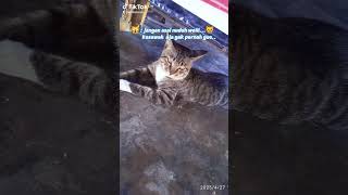 Download Lagu bukan gw MP3