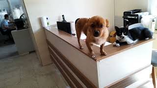 Moka Nin Drami..6.9.22