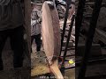 Large-Diameter Log Slab Resawing with Band Saw