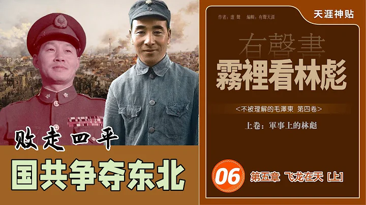 霧裡看林彪06集/飛龍在天 [上]/國共爭奪東北/林彪敗走四平/杜聿明/孫立人/衛立煌/天涯神貼《不被理解的毛澤東》第四卷（歷史有聲書） - 天天要聞