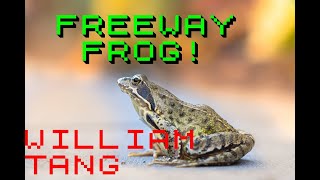 Spectrum Machine Language: FREEWAY Frog!