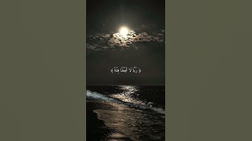 سورة الممتحنة: ﴿رَّبَّنَا عَلَيْكَ تَوَكَّلْنَا وَإِلَيْكَ أَنَبْنَا وَإِلَيْكَ الْمَصِيرُ﴾