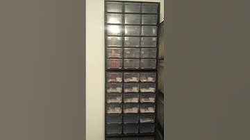 Robinette Reptiles new rack- ball python, geckos