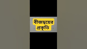 #বীজদ্বয়ের প্রকৃতি/একচল বিশিষ্ট দ্বিঘাত সমীকরণ। ক্লাস ১০।Wbbse।মাধ্যমিক।দশম শ্রেণি।Chapter 1/math