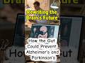 How the Gut Could Prevent Alzheimer’s & Parkinsons