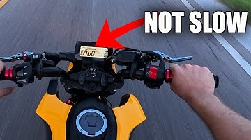 5 Reasons you NEED a Honda Grom