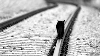 Tsen Brider Pi-Air Design