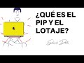 Qu es el pip y el lotaje fcil y rpido