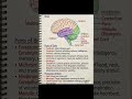 Coordination and control full chp notes #biologylecture #biology #biologyforstudents