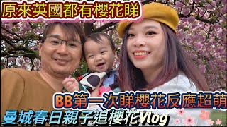 原來英國都有櫻花睇？曼城春日親子Vlog + 育兒日記 ｜BB第一次手執櫻花到走時都唔肯放手😂 ｜BB曼城出遊記