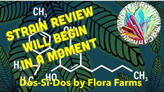 strain review of Dos-Si-Dos by Flora Farms and chat!