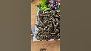 Đặc sản miền quê-cá rô bí chiên giòn chấm mắm me-nhức cái môi lun á🤪 #mồibén