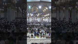 Sheikh 'Ali Hudhaify | Surah Al-Infitar 1-8 #madina #mecca #quran #quranrecitation #qurantranslation