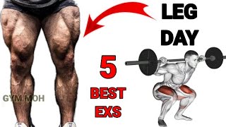 أفضل 5 تمارين الأرجل في الجيم / تضخيم و تقوية عضلات الفخذ و السمانة leg workout