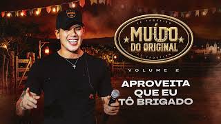 Zé Vaqueiro - Aproveita Que Eu Tô Brigado (Muído do Original - Vol. 2)