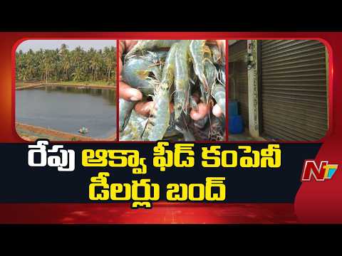 రేపు బంద్ కు సిద్ధమవుతున్న ఆక్వా ఫీడ్ కంపెనీ డీలర్లు | NTV Telugu - NTVTELUGU