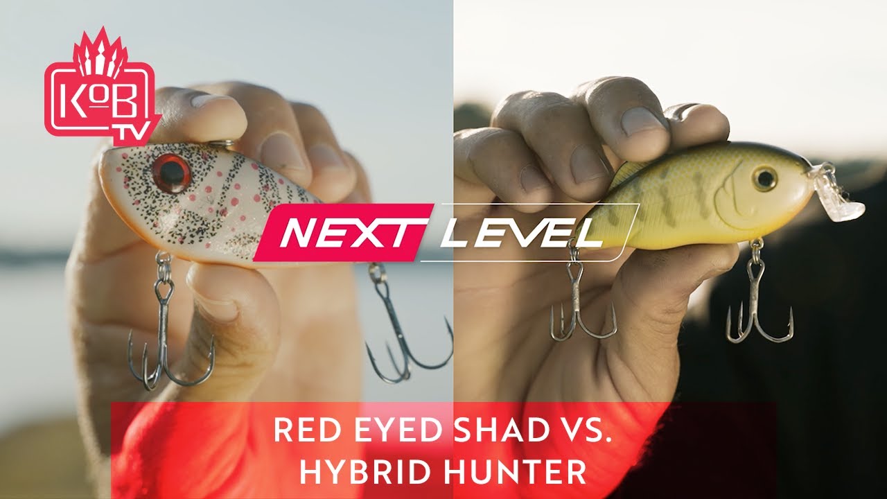 toddcastledinefishing5924 Compares the Red Eyed Shad and the Hybrid Hunter  [NEXT LEVEL] 