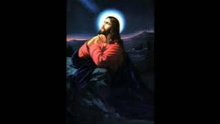 Zimbabwe Catholic Nyanja Songs- Ntungulu Ndimanja Odi Odi