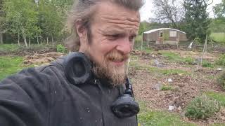Houtbewerken En Gasten Permacultuur In Zweden Vlog 353