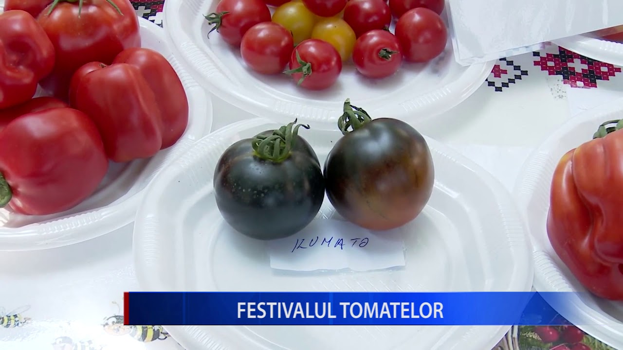 camera iphone 8 plus apk FESTIVALUL TOMATELOR