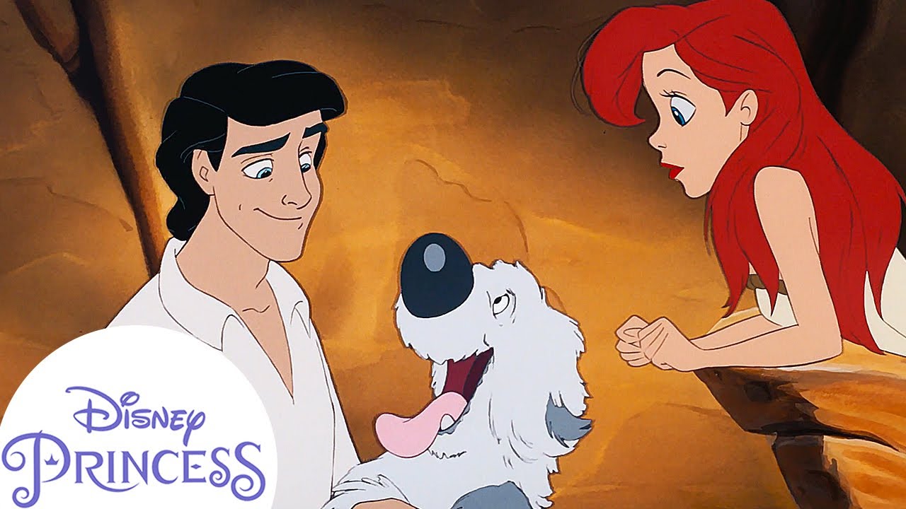 Disney Princesses' First Time Meeting the Princes!