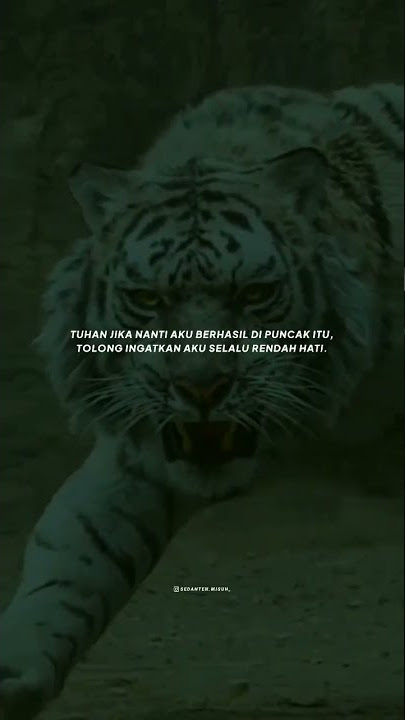 story wa macan putih