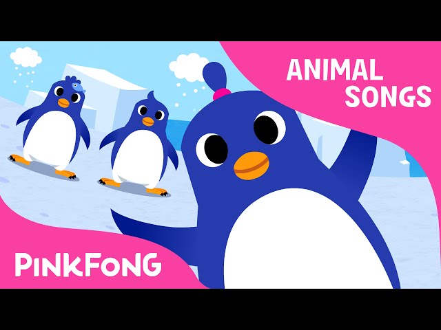 The Penguin Dance | Animal Songs | PINKFONG Songs for Children class=