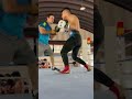 Pitbull Looks SHARP in New Training Footage