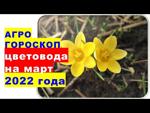 Бейне: Ай күнтізбесі бойынша 2022 жылы асқабақ көшеттерін қашан отырғызу керек