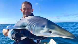 Shark Fishing UK  Solo Small Boat Sea Fishing UK  Blue Sharks | The Fish Locker