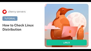 How to Check Linux distribution (5 Easy Methods)